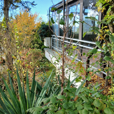 Einfamilienhaus Weingarten Einfamilienhaus Weingarten